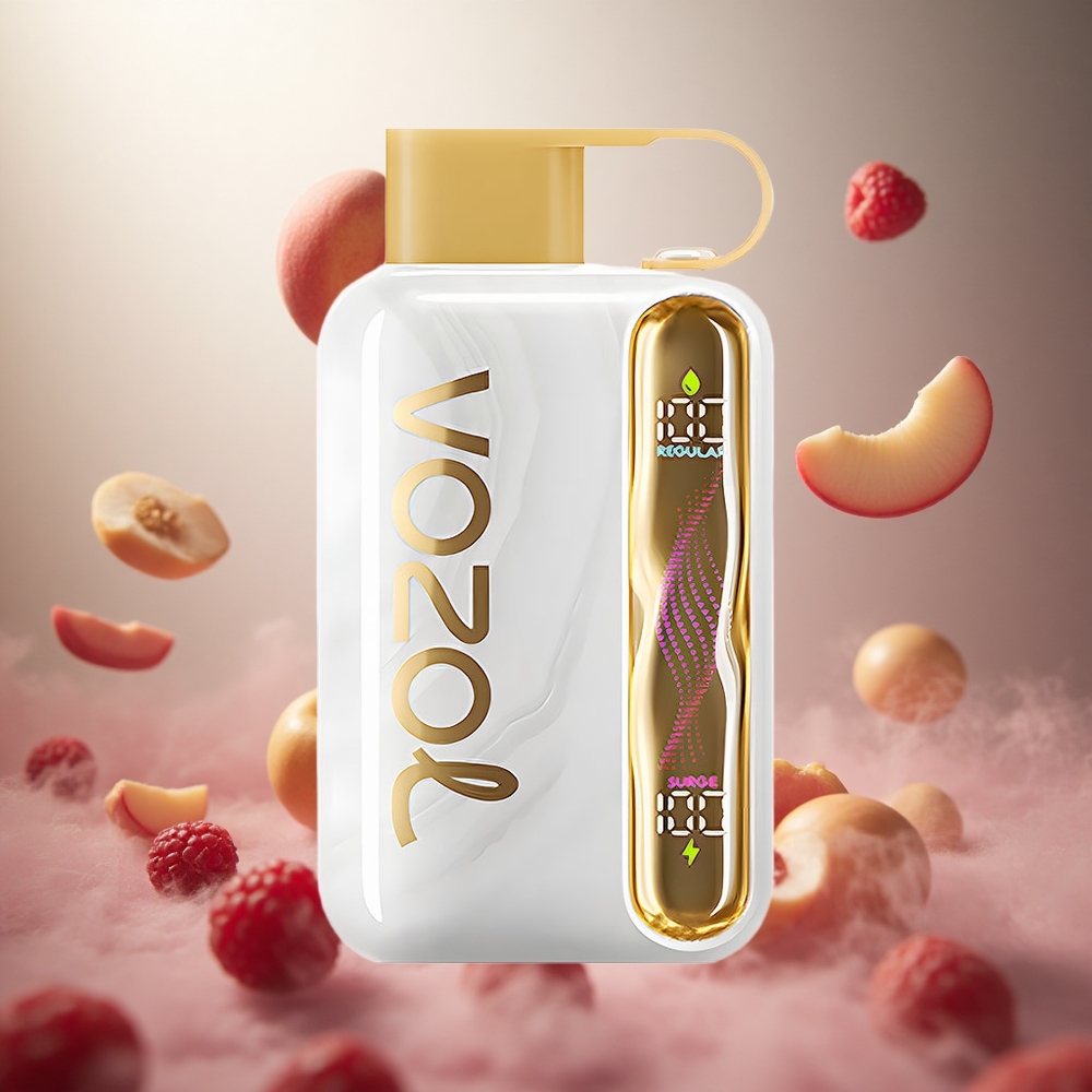 VOZOL STAR 40000 Puffs Baltā Persiku Avene Vienreizlietojamais Vape 1000mAh 20/50mg/ml