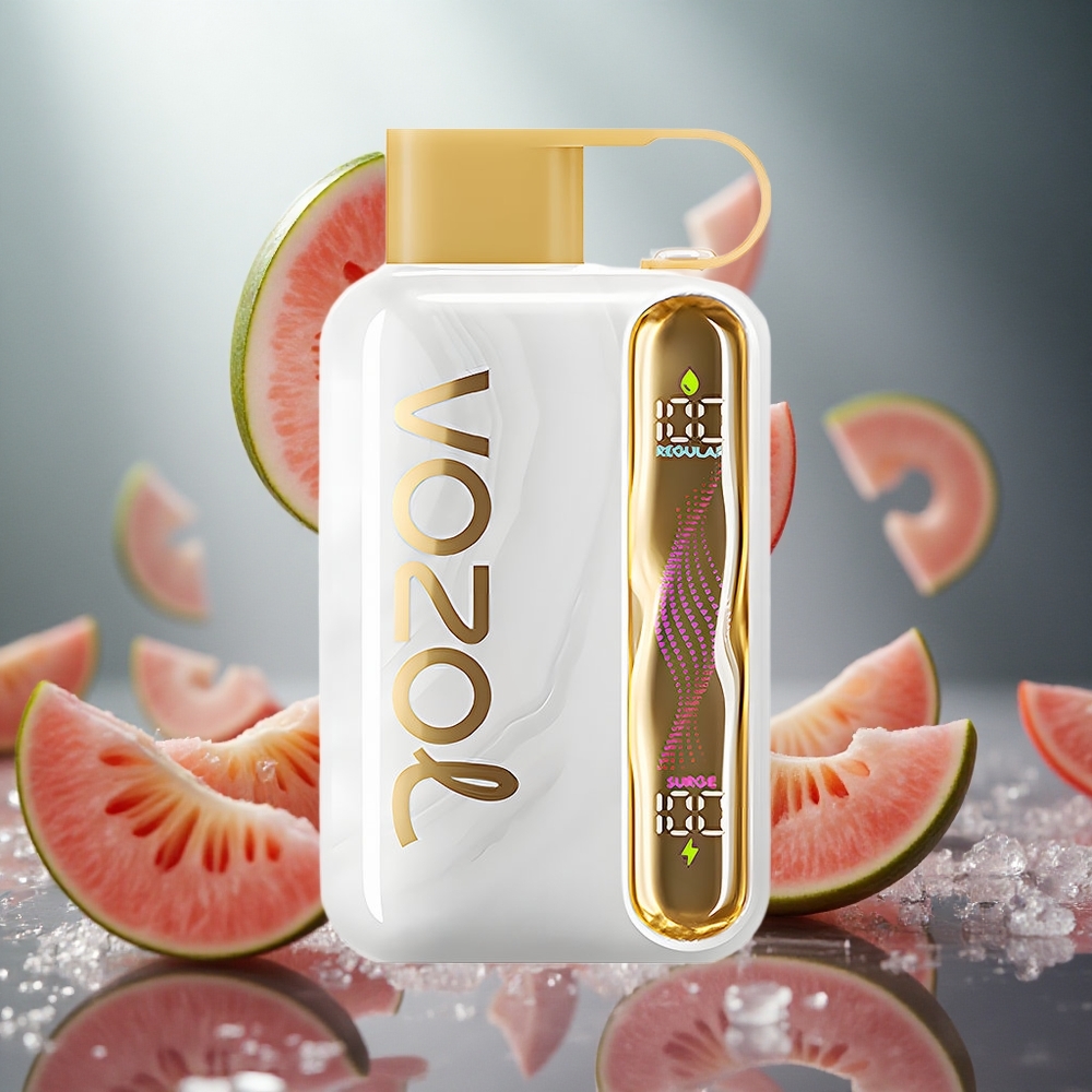 VOZOL STAR 40000 Puffs Vienreizlietojamais Vape Melona Ledus ar 1000mAh bateriju un Type-C uzlādi