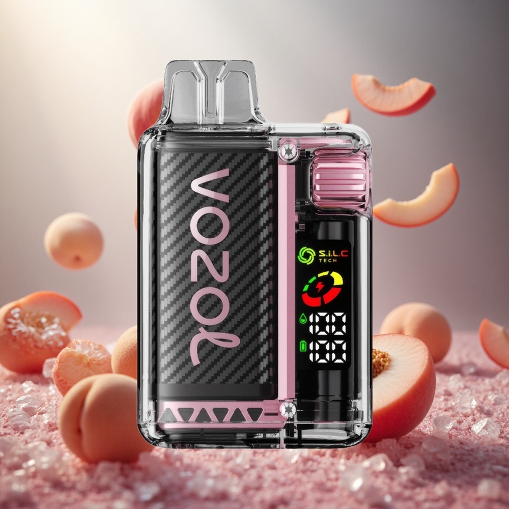 VOZOL Vista 20000 Puffs Persiku Ledus
